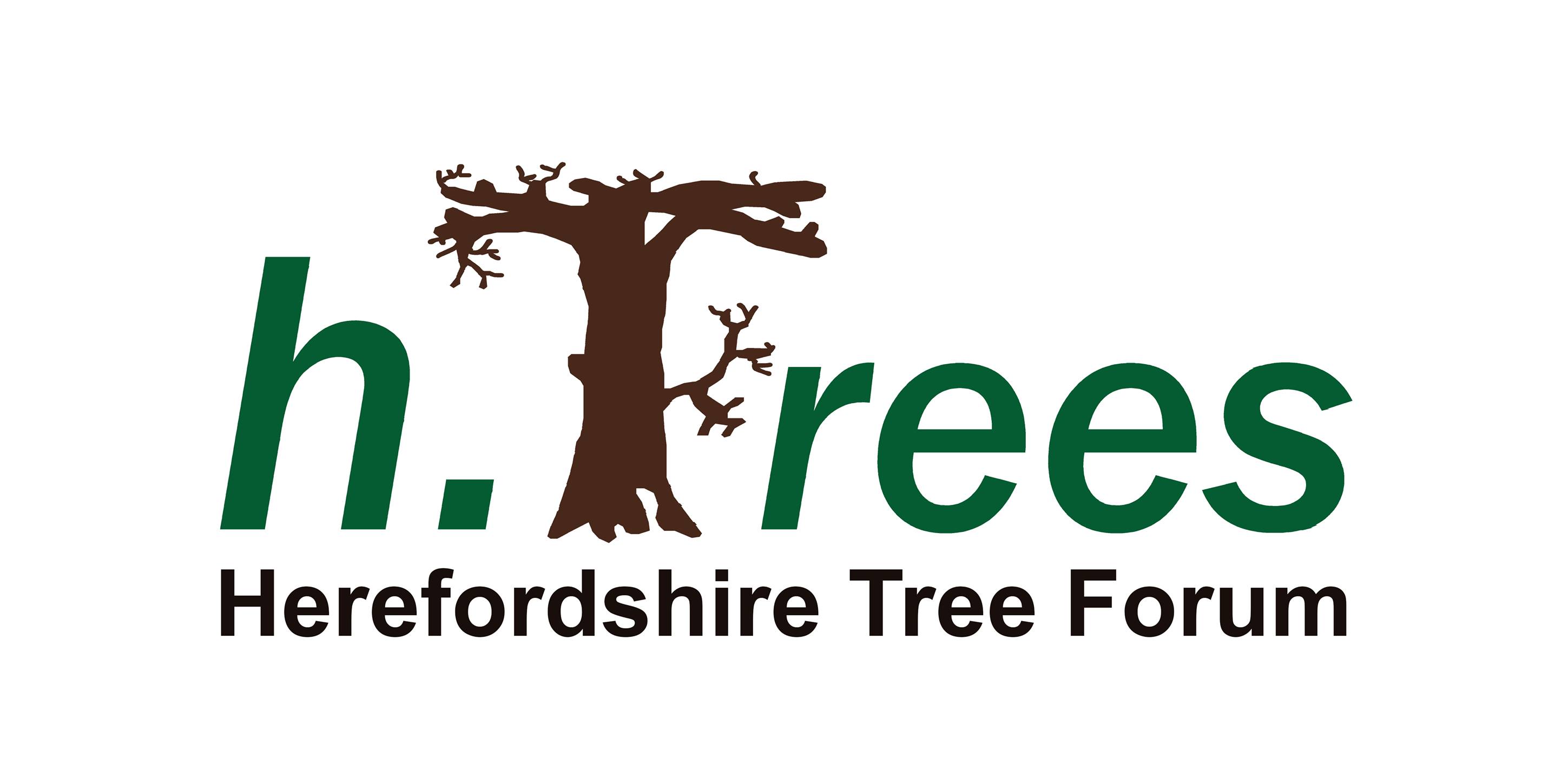 Hfd-tree-forum.jpg